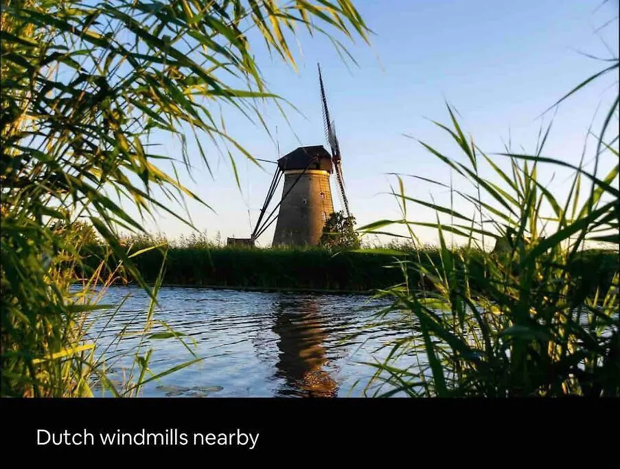 Family House With Garden & Jacuzzi & Sauna Near Amsterdam Vijfhuizen Holiday home